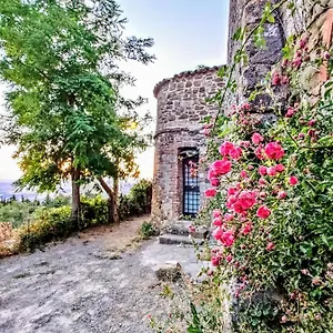 Appartamento Historic 14th Century Palazzo Sarteano
