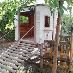 https://azienda-agrituristica-le-betulle.it-tuscanyhotel.com